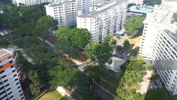 Blk 311B Trivelis (Clementi), HDB 4 Rooms #126726422